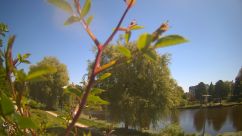 Rosarium Webcam