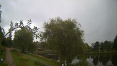 Rosarium Webcam