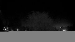 Rosarium Webcam