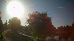 Rosarium Webcam