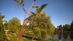 Rosarium Webcam