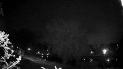 Rosarium Webcam
