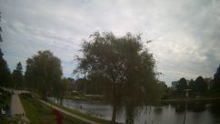Rosarium Webcam