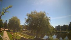 Rosarium Webcam
