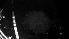 Rosarium Webcam