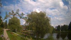 Rosarium Webcam
