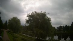 Rosarium Webcam