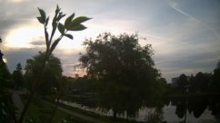 Rosarium Webcam