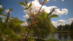 Rosarium Webcam