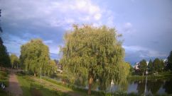 Rosarium Webcam