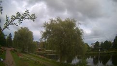 Rosarium Webcam