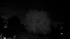 Rosarium Webcam