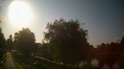 Rosarium Webcam