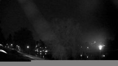 Rosarium Webcam