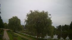 Rosarium Webcam