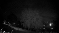 Rosarium Webcam