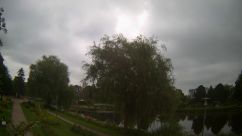 Rosarium Webcam