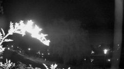 Rosarium Webcam