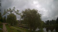 Rosarium Webcam