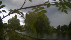 Rosarium Webcam