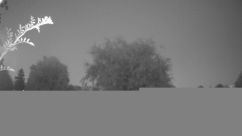 Rosarium Webcam