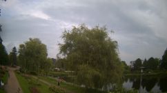 Rosarium Webcam