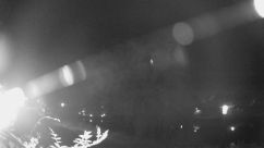 Rosarium Webcam