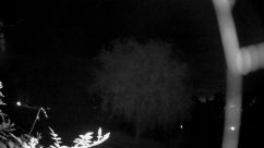 Rosarium Webcam
