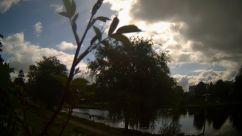 Rosarium Webcam