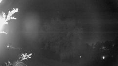 Rosarium Webcam