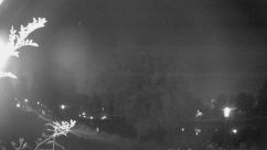 Rosarium Webcam