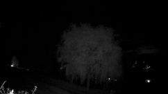 Rosarium Webcam