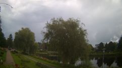 Rosarium Webcam