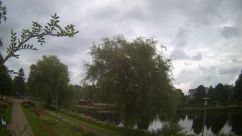 Rosarium Webcam
