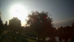 Rosarium Webcam