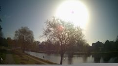 Rosarium Webcam