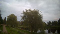 Rosarium Webcam