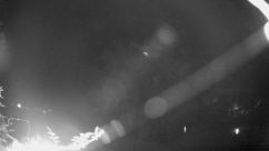 Rosarium Webcam