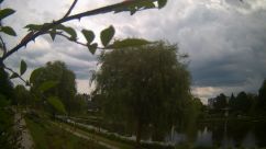 Rosarium Webcam