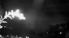 Rosarium Webcam