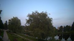 Rosarium Webcam