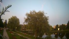 Rosarium Webcam