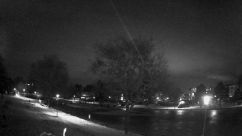 Rosarium Webcam