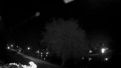 Rosarium Webcam