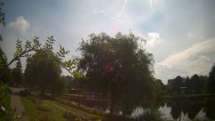 Rosarium Webcam