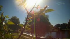 Rosarium Webcam