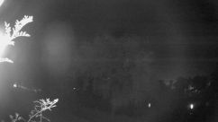 Rosarium Webcam