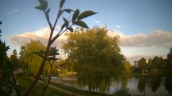 Rosarium Webcam