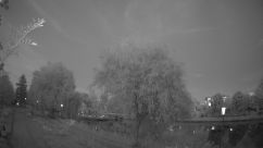 Rosarium Webcam
