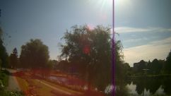 Rosarium Webcam